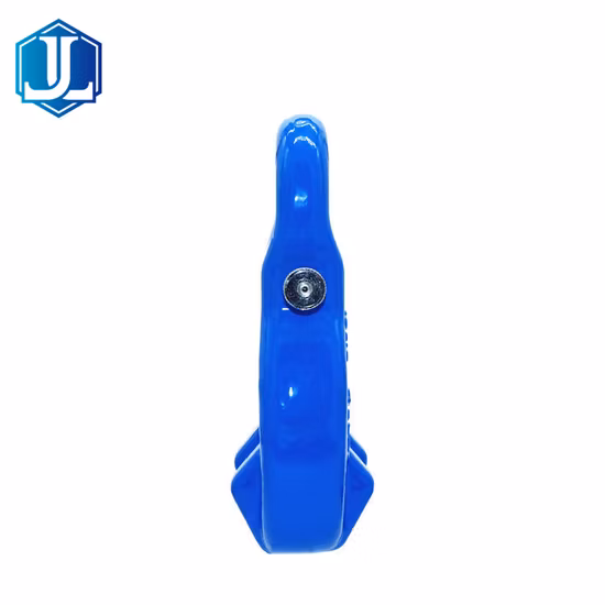 G100 安全ピン付き特殊アイグラブフック